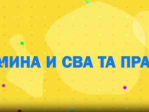 Мина прелази нивое: Мина и сва та правила