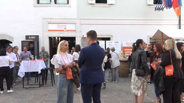  Нови виногради изнад Мораве 