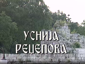 Постер Усније Реџепове