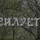 Силуете: Мијат Мијатовић