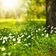 Еколошки магазин