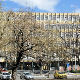 Потврђена оптужница против Јелене Танасковић и Горана Весића – Апелациони суд у Новом Саду преиначио одлуку Вишег суда