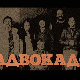 Адвокадо, 5-20