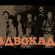 Адвокадо, 8-20