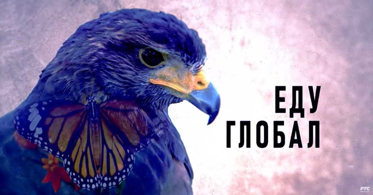 Еду глобал, 291. еп.