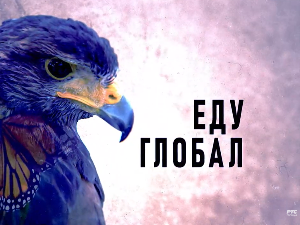 Еду глобал, 292. еп.