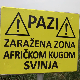 Упозорења на афричку кугу на улазима у села, више од 26.000 грла еутаназирано или угинуло