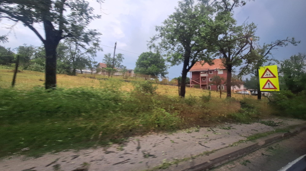 Невреме у Ариљу и Новој Вароши - дрво препречило магистрални пут