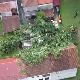 Олујно невреме у Ариљу и Новој Вароши, у Гучи дрво пало на кућу
