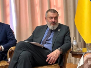 Литвињенко: Украјина наставља да подржава територијални интегритет Србије