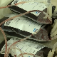 Залихе крви на минимуму – да некоме продужите живот довољно да издвојите једно фудбалско полувреме