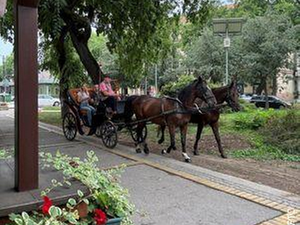Еко перспективе: Зелени бисери Србије: Сомбор, 1. део