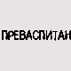 Преваспитани: Љубиша Ристић 2