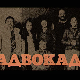 Адвокадо, 18-20