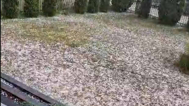 Јако невреме код Пријепоља, уништени засади шљива и крушака