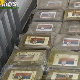 Рекордна заплена 800 килограма кокаина у Лигурији. Италијански медији: “Српске заставе на пакетима дроге"”