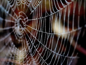 Артур Конан Дојл: Лига риђокосих
