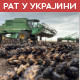 Зеленски: Русија ће блокирати коридоре за жито; Кремљ: Москва отворена за преговоре