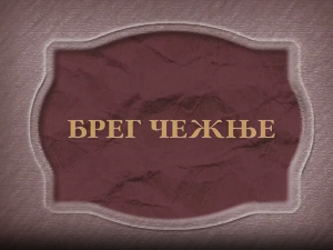 Брег чежње, ТВ филм