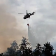 Угашен пожар у Делиблатској пешчари