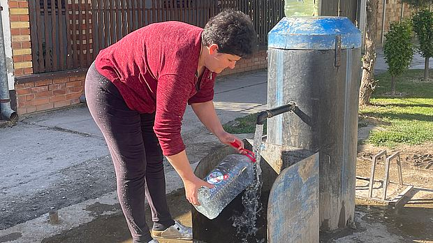 Паноникум: Жута вода у Бачкој