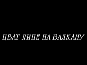 Цват липе на Балкану, 11-13