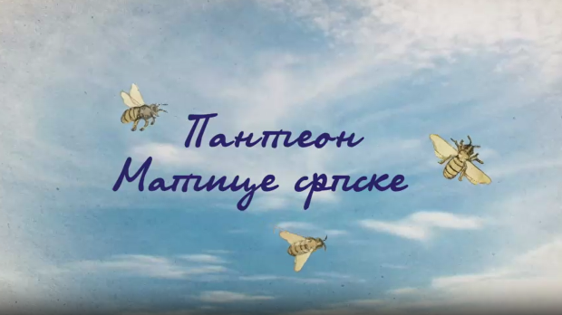 Пантеон Матице српске: Сава Текелија, 5. еп.