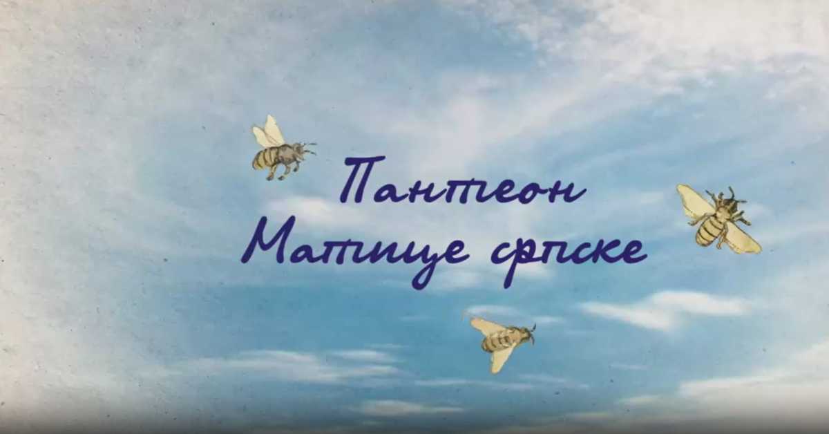 Пантеон Матице српске: Сава Текелија, 5. еп.