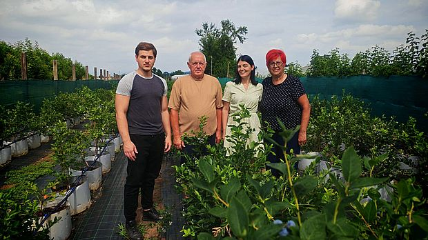 Младост и искуство