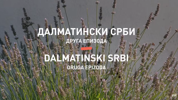 Култура Срба у Хрватској: Далматински Срби, друга епизода