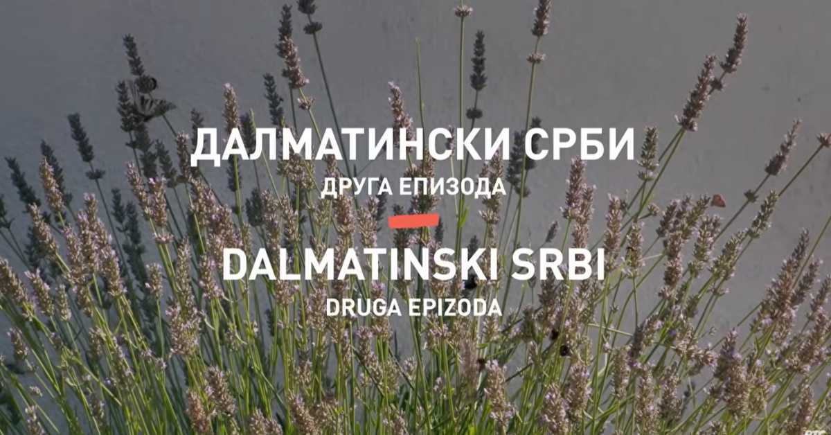 Култура Срба у Хрватској: Далматински Срби, друга епизода