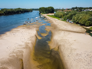 Шест ствари које треба да знате о ниском водостају Дунава
