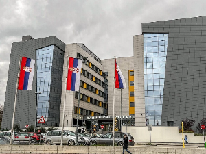 Ниш: Мушкарац збринут због уједа змије, највероватније смука – није примио серум