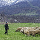 Данкина бројаница – Пастирске стазе