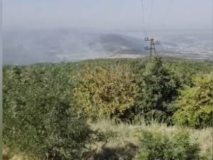 Пожар у атару бијановачког села Брезница, ватра захватила шуму