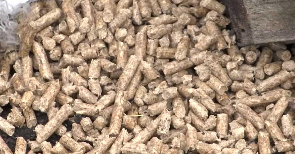 Пелет плануо и пре грејне сезоне – цене стигле до 44.000 динара, поскупела и дрва 