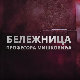 Бележница професора Мишковића, 3-12