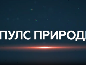 Пулс природе: Аранђеловац