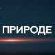 Пулс природе: Врхпоље