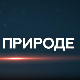 Пулс природе: Дрина сплаварење