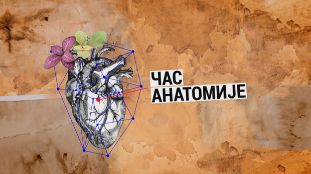 Час анатомије: Желите ли да објавите књигу
