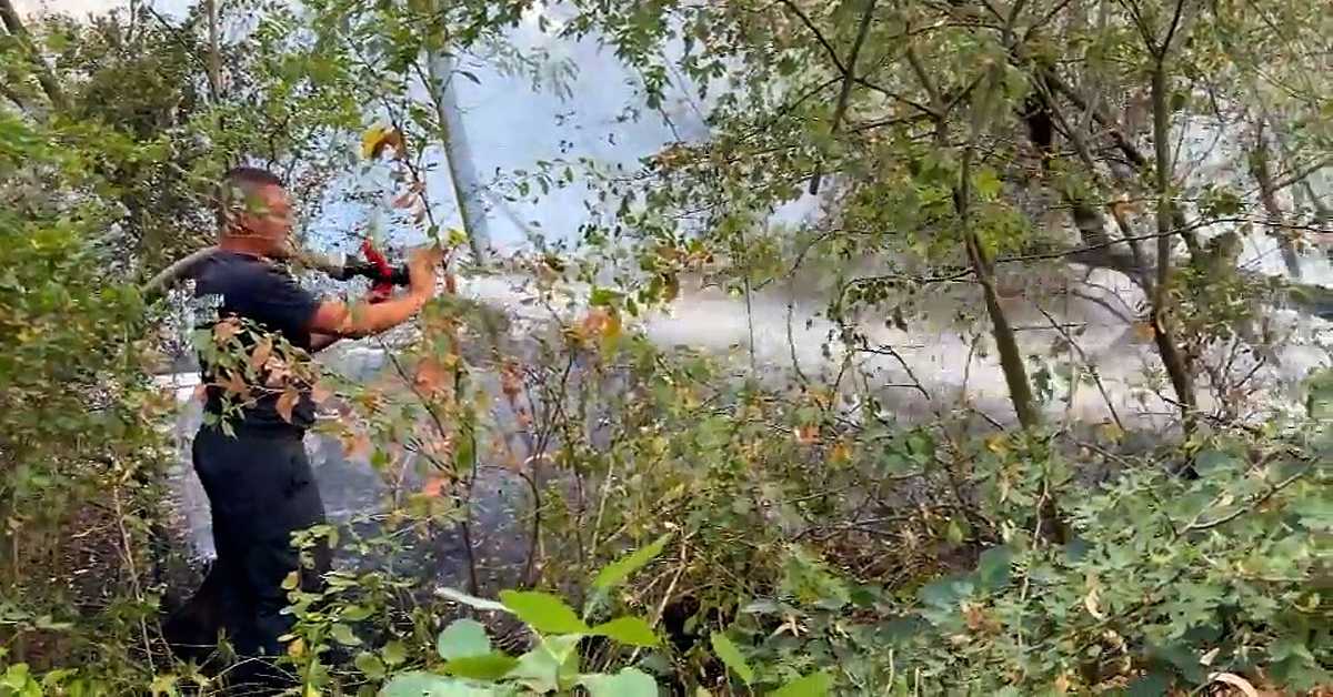Борба са пожарима – Вучић у Делиблатској пешчари: Становништво није било угрожено ниједног секунда; Иљушин гаси ватру на Столовима