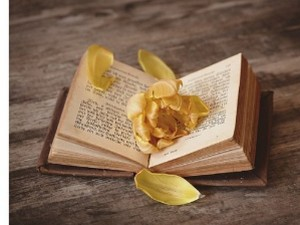 Мотив момка и девојке у народним песмама 