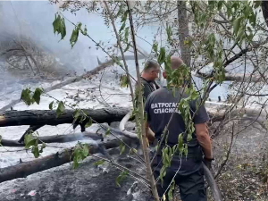 Пожари у Србији – на Столовима заустављено ширење ватре, боља ситуација на Делиблатској пешчари