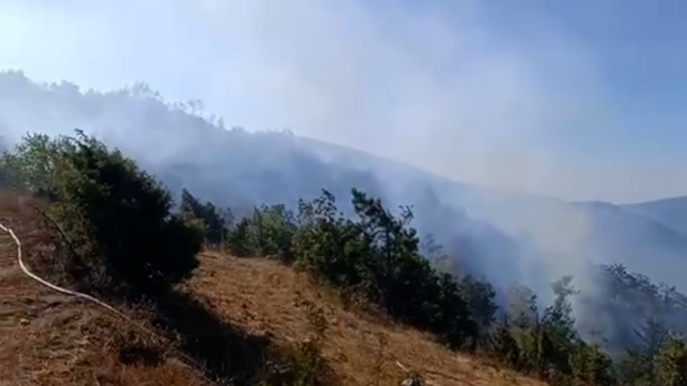 Делиблатској пешчари прети јака кошава, на Столовима заустављено ширење пожара
