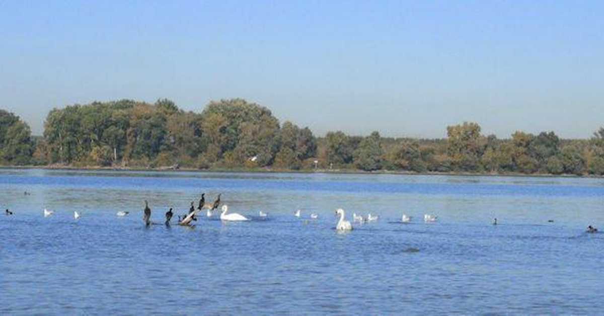 Еко перспективе: Свет у капи воде