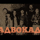 Адвокадо, 20-20