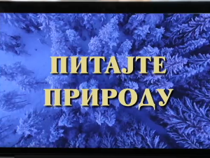 Питајте природу, 1. ем.