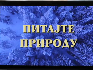 Питајте природу, 2. ем.