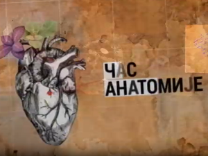 Час анатомије: О културној стратегији 